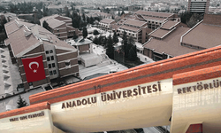 Anadolu Üniversitesi, Avrupa'nın en iyi 500 üniversitesi arasında