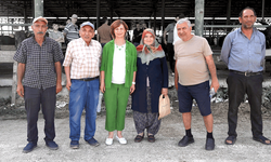 Ayşe Ünlüce’den mezbaha açıklaması