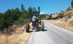 Kütahya'da orman yangınlarına karşı yeni çalışma