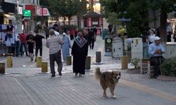 Kütahya kredi kullanımı ve batık kredi tutarında 40'ıncı