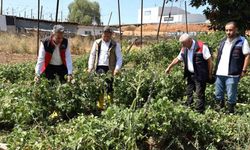 Bilecik'te selde zarar gören bölgede hasar tespit çalışmaları