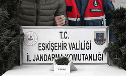 Eskişehir'de zehir ticaretine darbe: Gram gram esrarla yakalandı