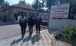 Afyonkarahisar'da hırsızlık suçundan aranan ismi jandarma yakaladı