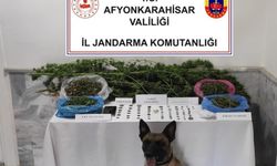 Afyonkarahisar'da jandarmadan uyuşturucu ve tarihi eser operasyonu