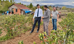 Bilecik'te iki köyün geçim kaynağı oldu: Ahududu ve aronya ile...