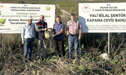 Bilecik'te yüzlerce dönüm atıl araziyi ceviz bahçesine dönüştürdü