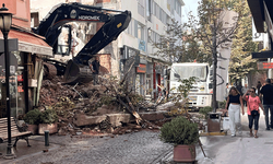 Eskişehir'de kontrolsüz yıkım: Trafik kapandı, ağaçlar kırıldı