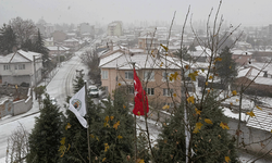 Eskişehir'de mevsimin ilk kar yağışı başladı