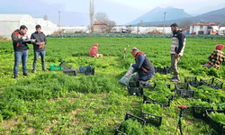 Tarımda ortak eylem planı Eskişehir'e uzandı: Biberde ve turunçgilde…