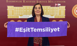 Milletvekili Süllü: Kadınların siyasette temsiliyeti artmalı