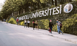 Anadolu Üniversitesi'nden 2024 raporu: 14 bilim insanı ile zirveye çıktı!