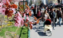 Eskişehir Mart ayında yaz sıcaklarını aratmayacak