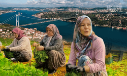 Eskişehirli kadınlar İstanbul'u doyuruyor! Türkiye birincisi oldular