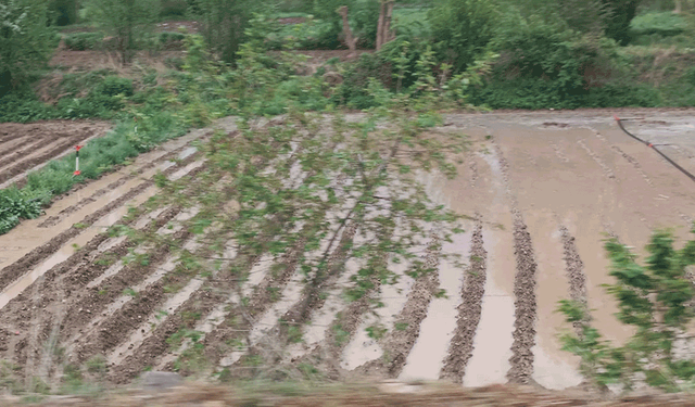 Afyonkarahisar’da sağanak köyde sele neden oldu