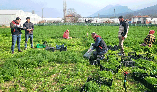 Tarımda ortak eylem planı Eskişehir'e uzandı: Biberde ve turunçgilde…